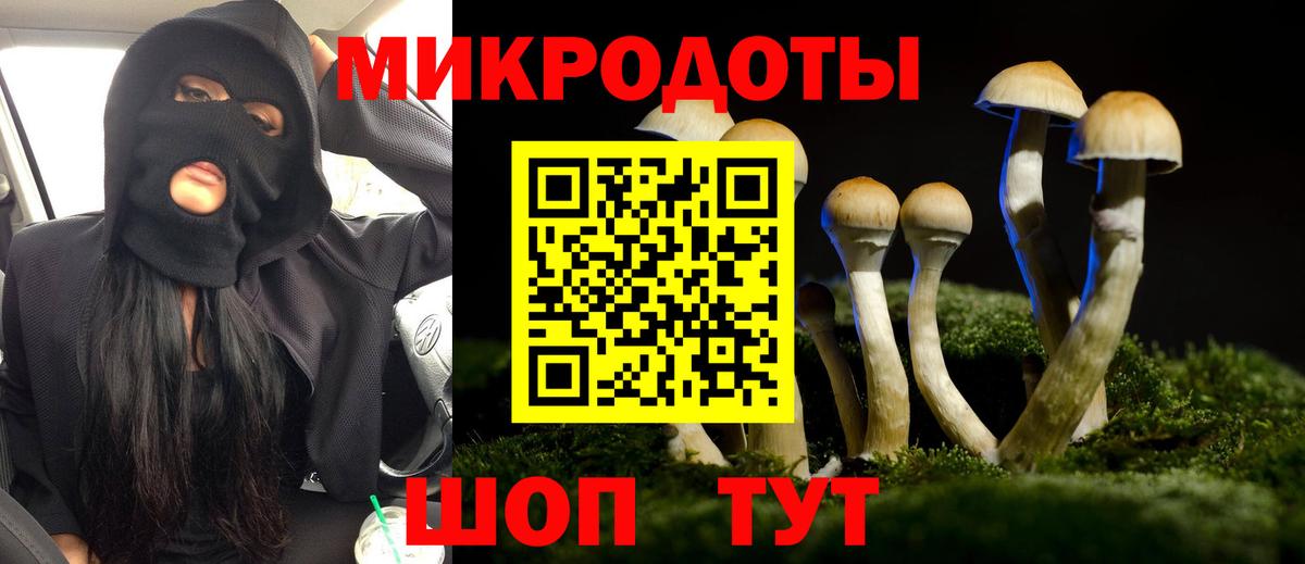 Галлюциногенные грибы мухоморы Торжок